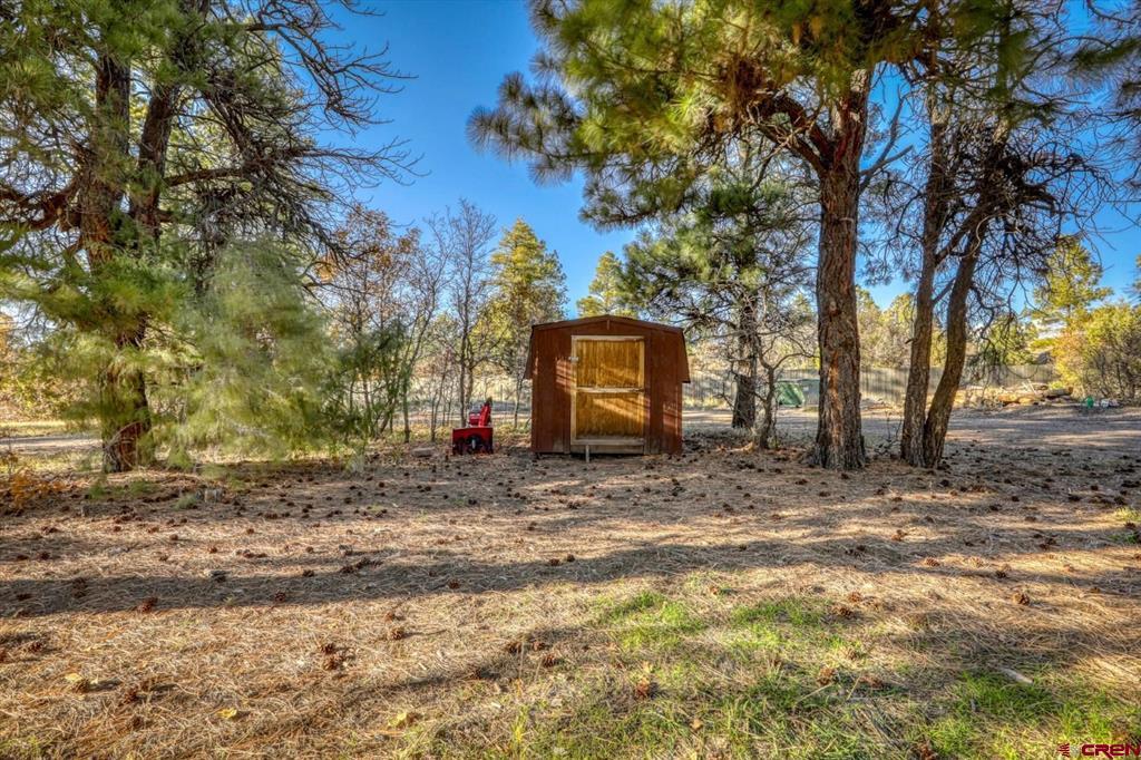 884 Buttress Avenue Pagosa Springs CO 81147