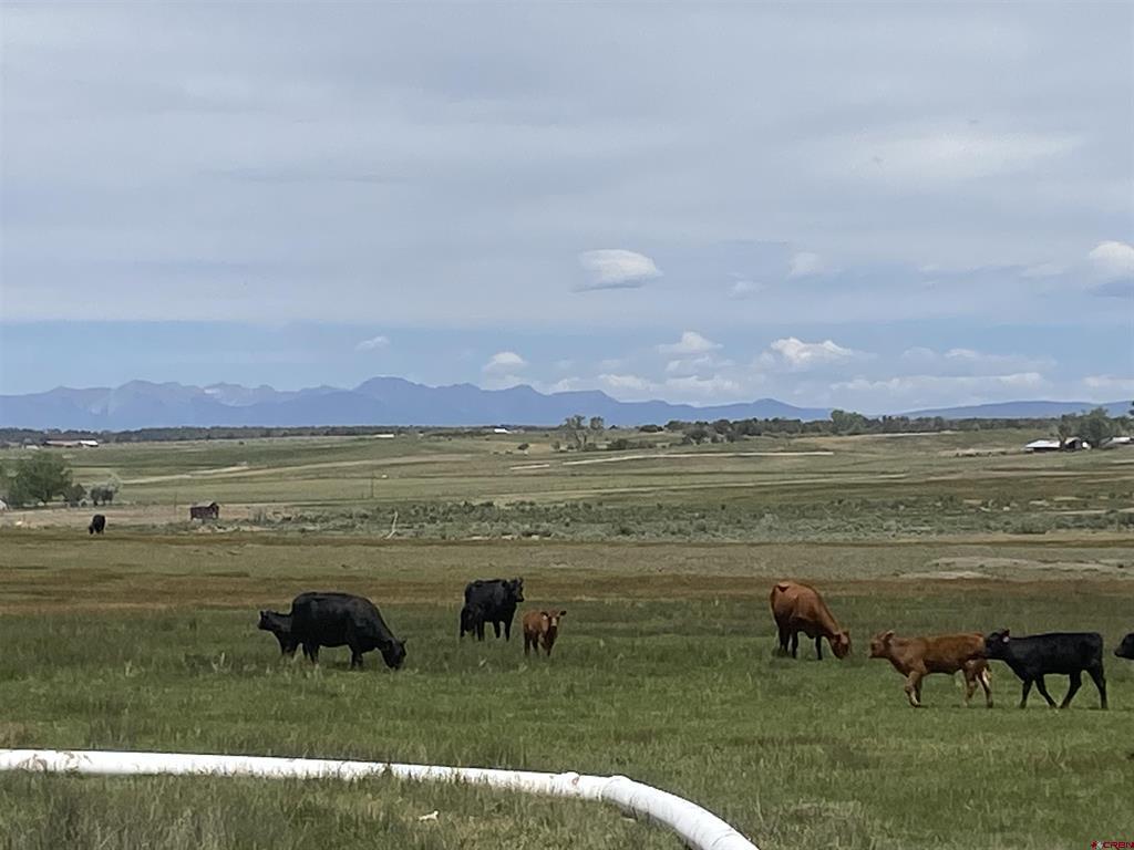 346 County Road 321 Ignacio CO 81137