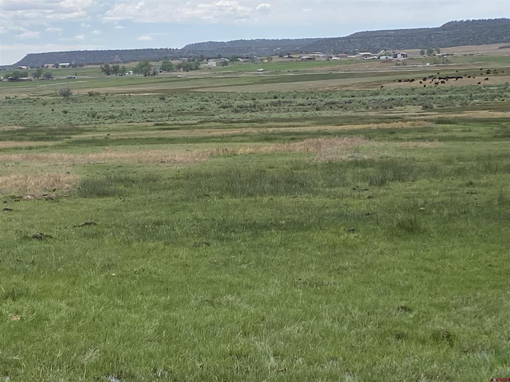 346 County Road 321 Ignacio CO 81137