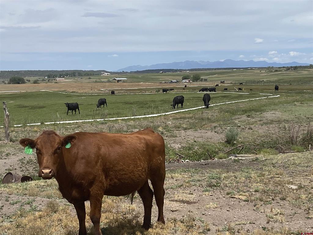 346 County Road 321 Ignacio CO 81137