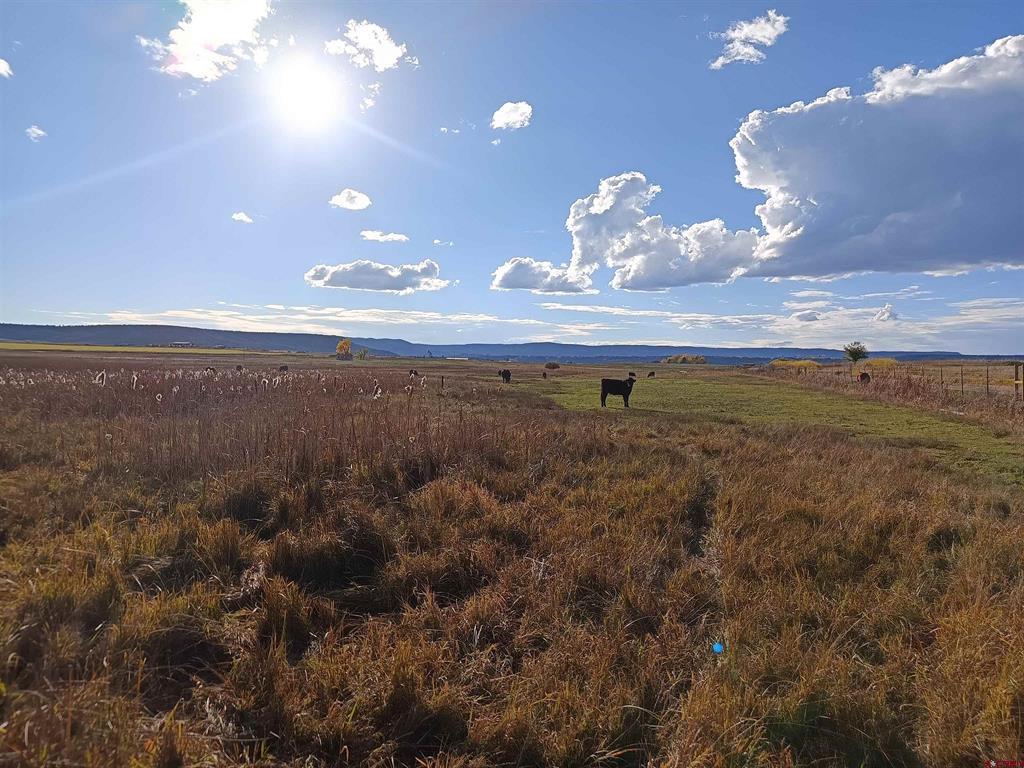 346 County Road 321 Ignacio CO 81137