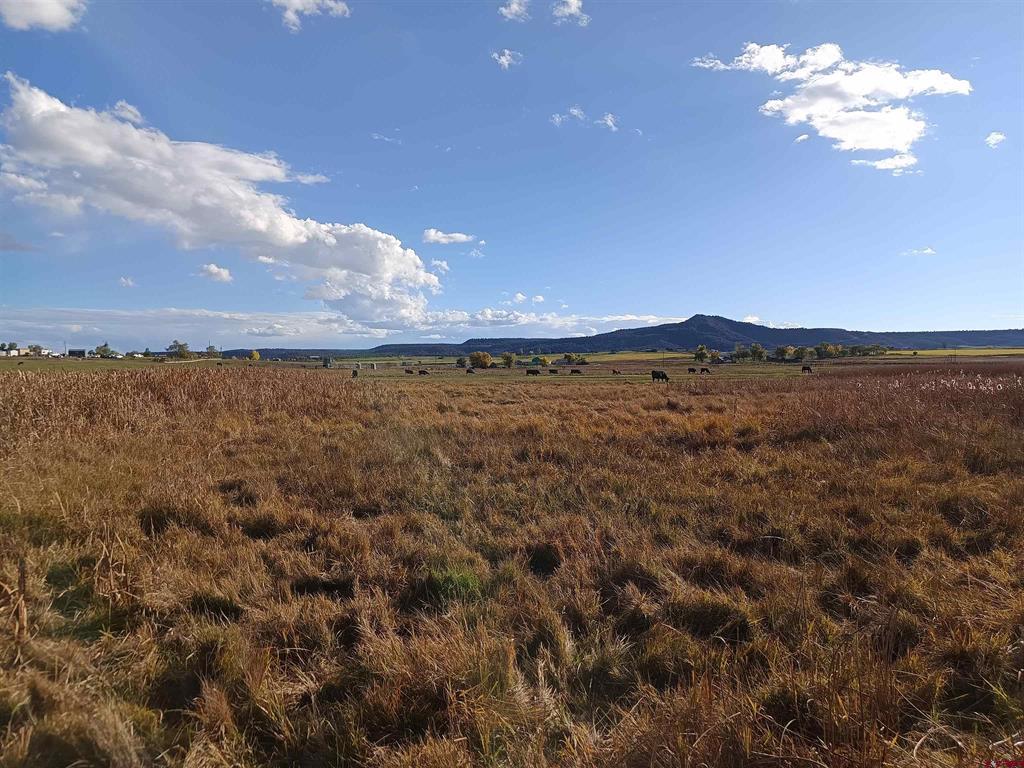346 County Road 321 Ignacio CO 81137