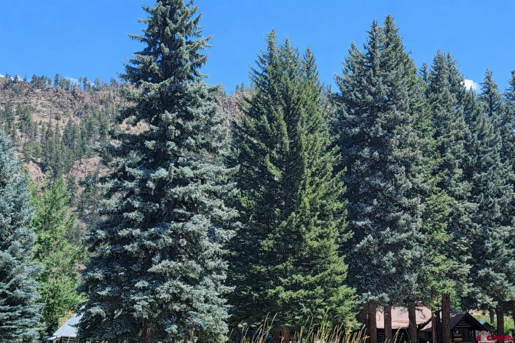 271 Master's Place South Fork CO 81154
