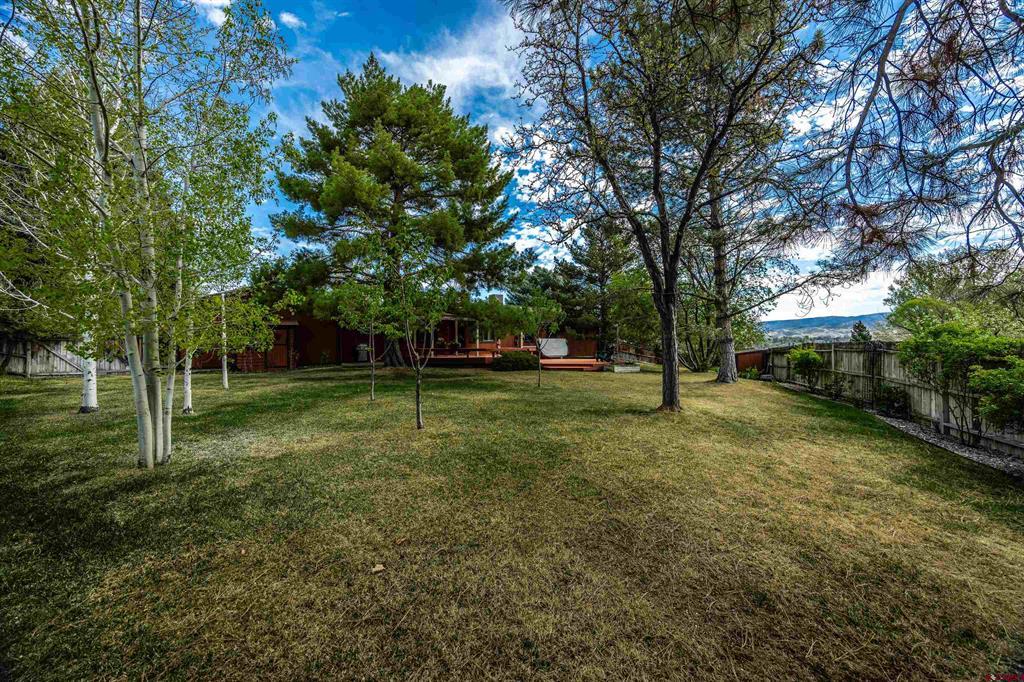 66141 Juniper Court Montrose CO 81403
