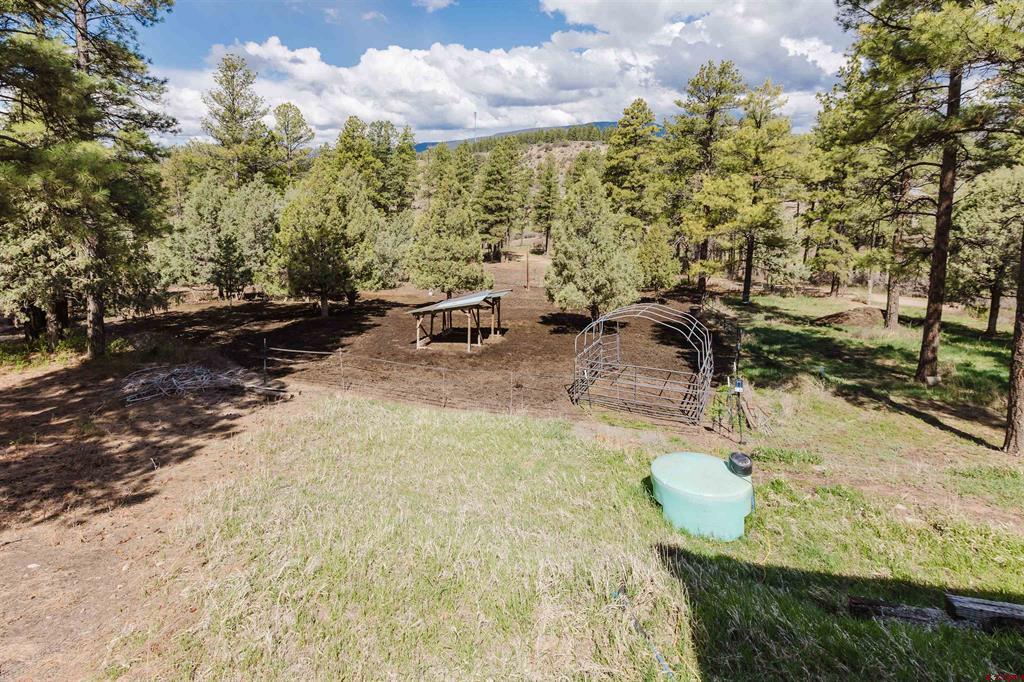77 Navajo Circle Pagosa Springs CO 81147