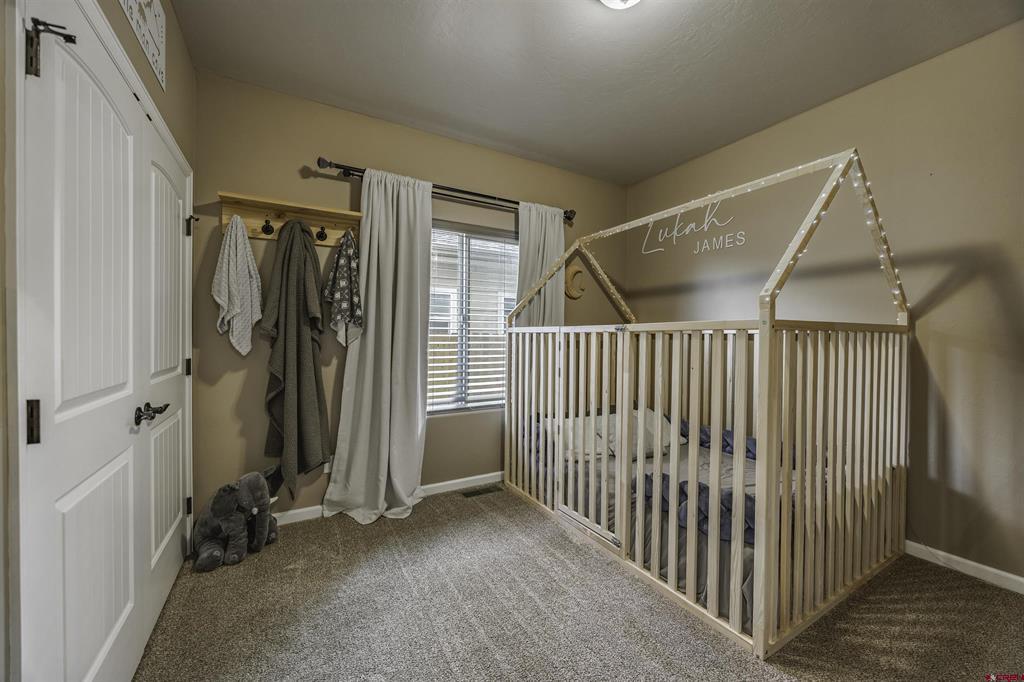 1341 Owl Creek Avenue Montrose CO 81401