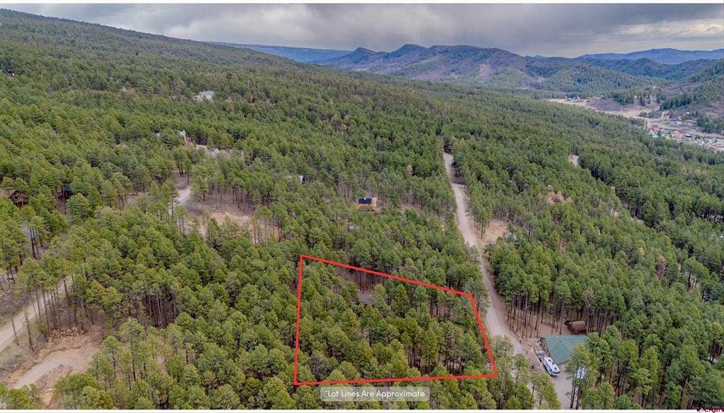 337 Timber Drive Bayfield CO 81122
