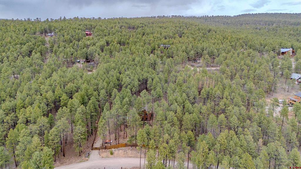 337 Timber Drive Bayfield CO 81122