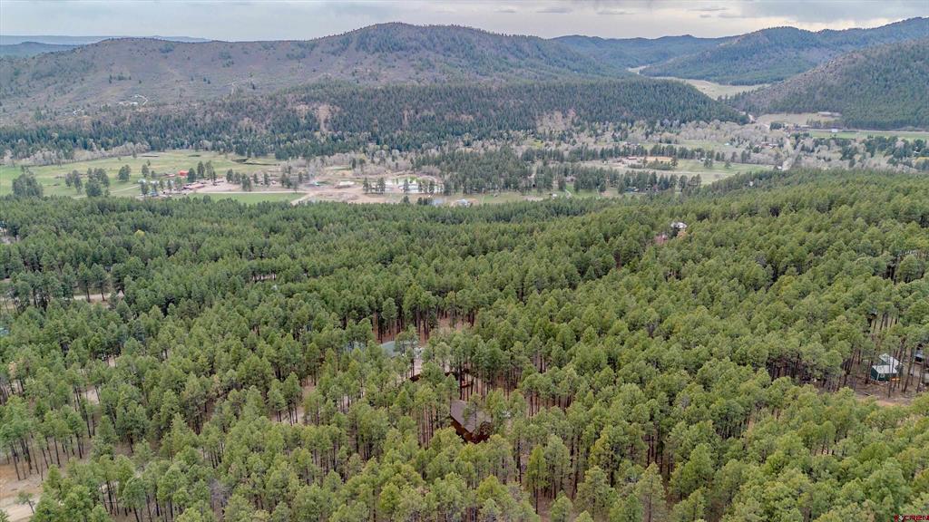 337 Timber Drive Bayfield CO 81122