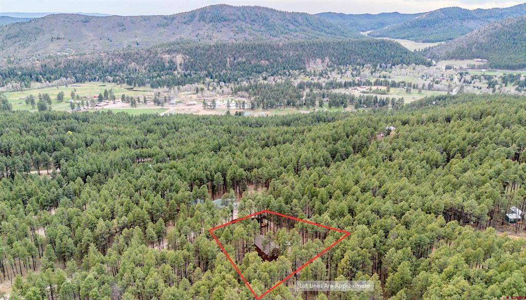 337 Timber Drive Bayfield CO 81122