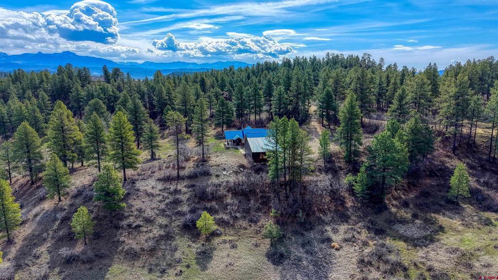 305 Crestview Drive Pagosa Springs CO 81147