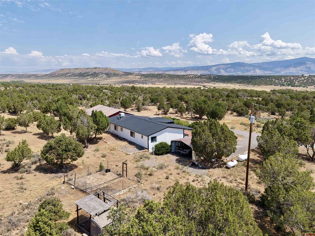 35 Cactus Place Montrose CO 81403