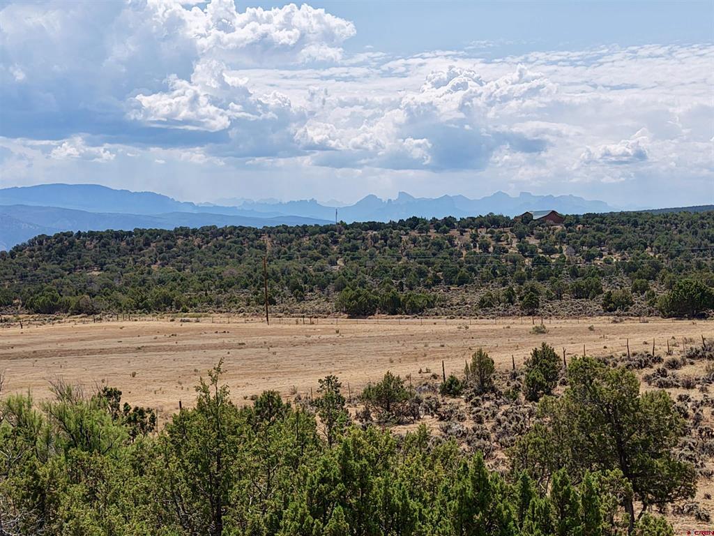 35 Cactus Place Montrose CO 81403