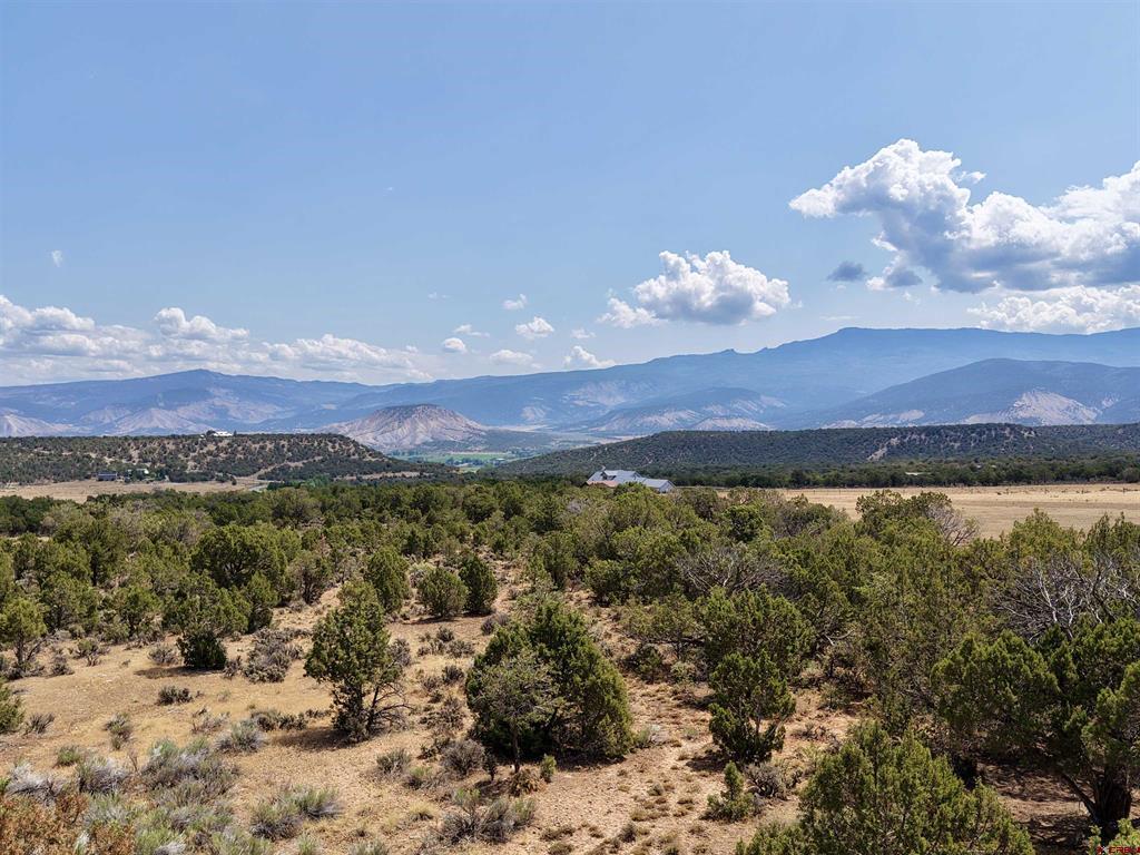 35 Cactus Place Montrose CO 81403