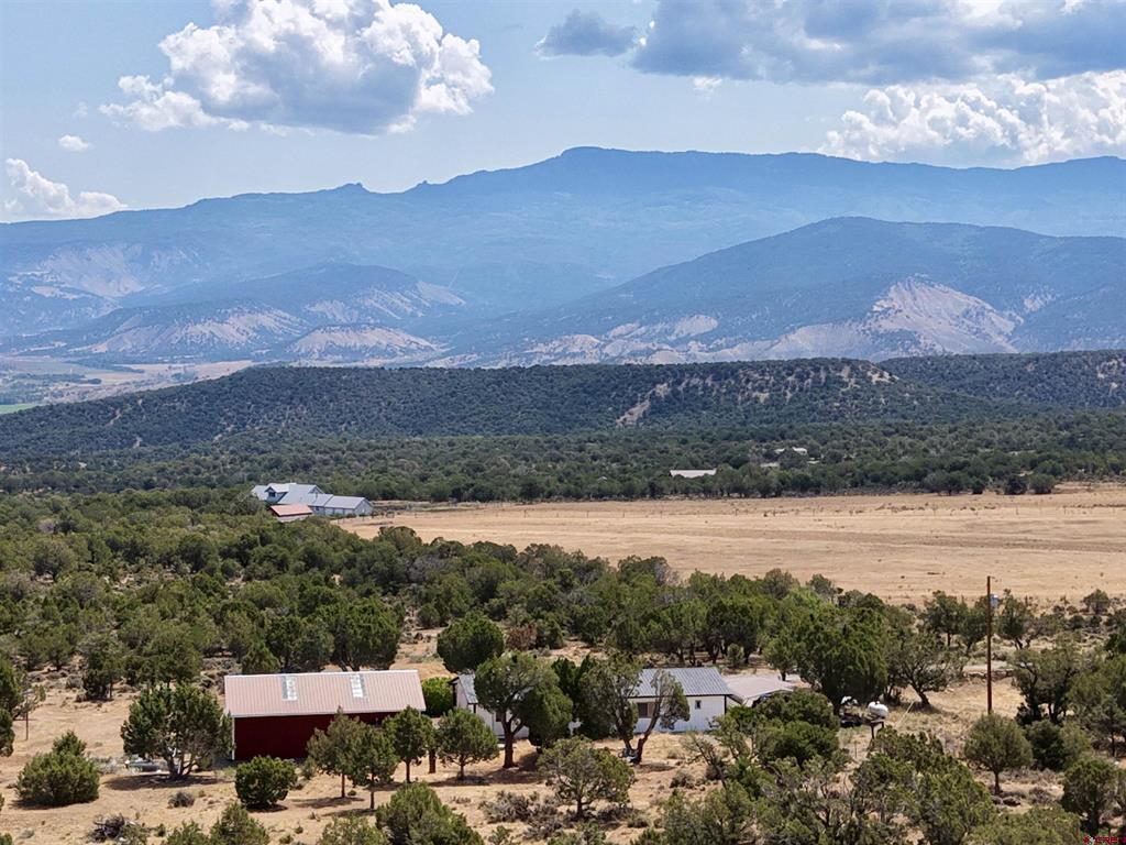 35 Cactus Place Montrose CO 81403
