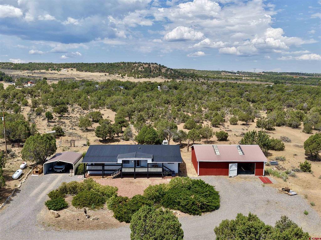 35 Cactus Place Montrose CO 81403