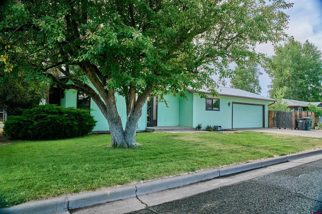 710 Plachy Drive Alamosa CO 81101
