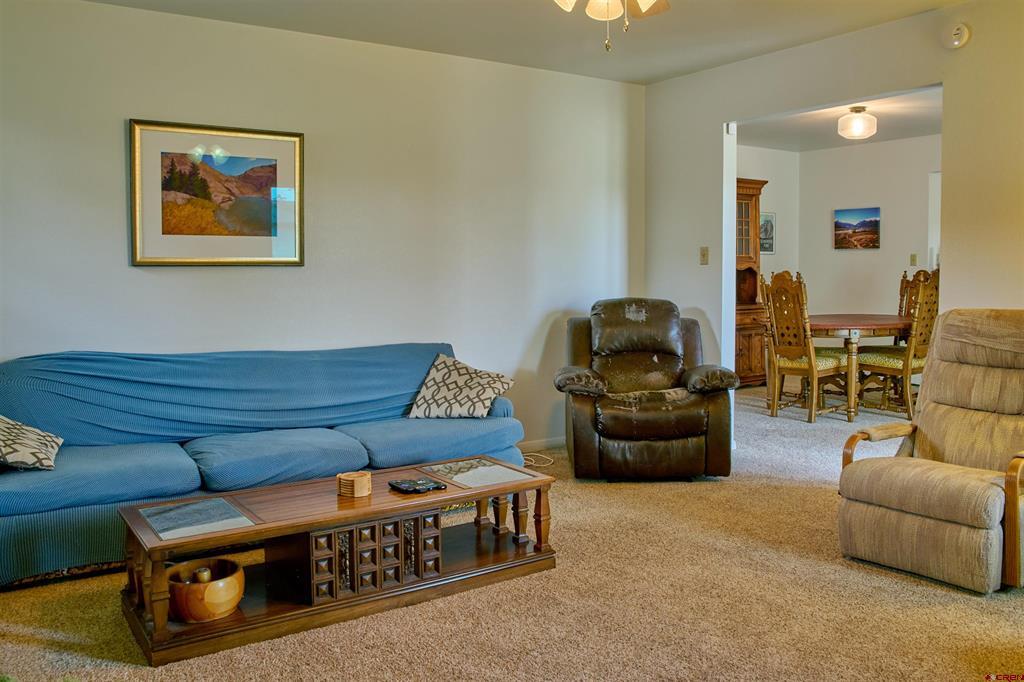 710 Plachy Drive Alamosa CO 81101