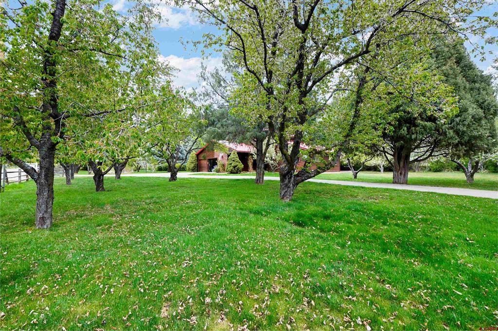 163 County Road 202 Durango CO 81301