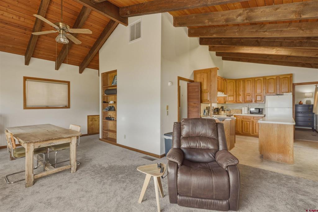 1117 Cloud Cap Avenue Pagosa Springs CO 81147