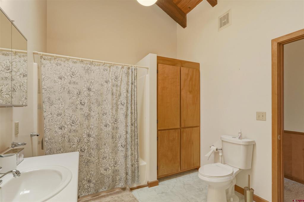 1117 Cloud Cap Avenue Pagosa Springs CO 81147