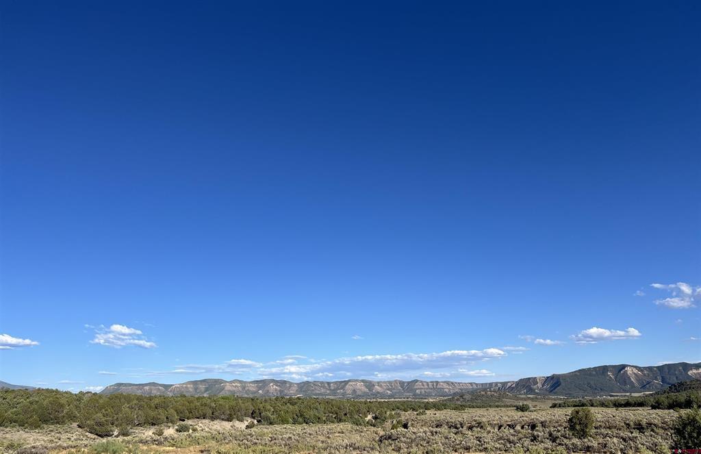 36283 Road K.3 Mancos CO 81328