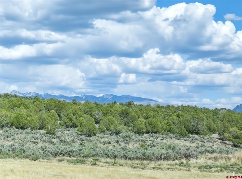 36283 Road K.3 Mancos CO 81328