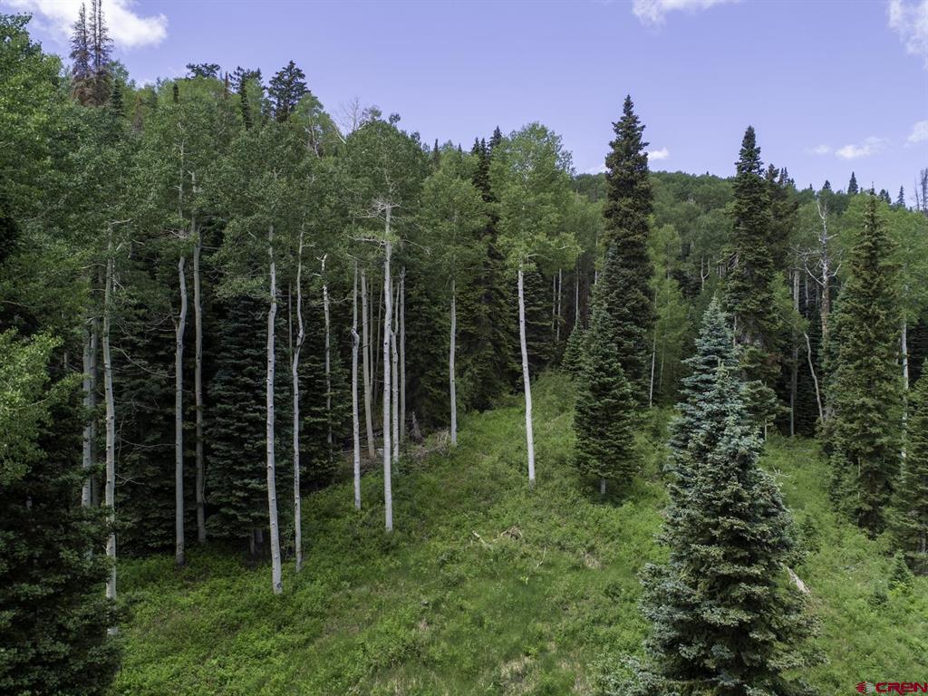 774098 Buckhorn Road Montrose CO 81403