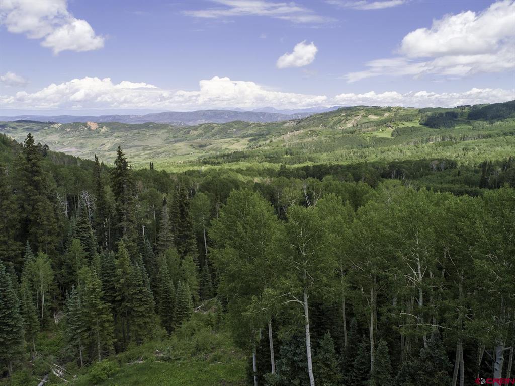774098 Buckhorn Road Montrose CO 81403