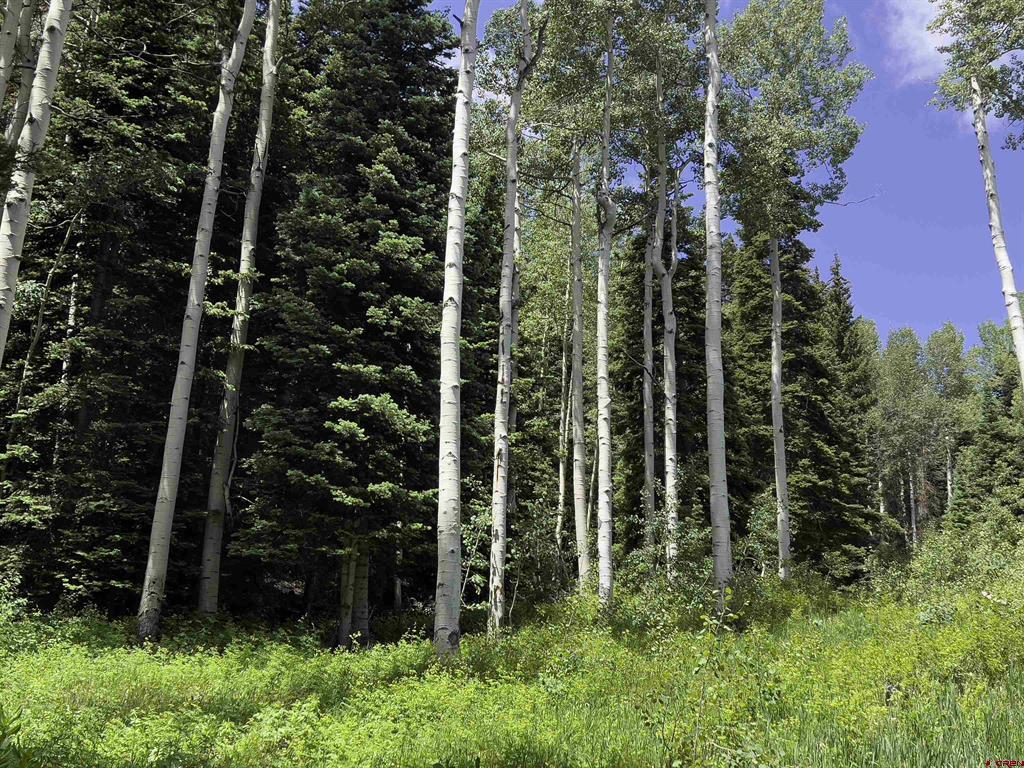 774098 Buckhorn Road Montrose CO 81403