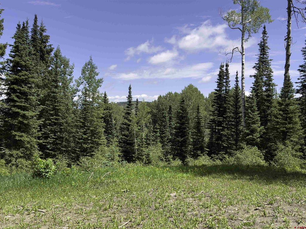 774098 Buckhorn Road Montrose CO 81403