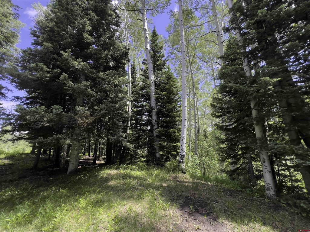 774098 Buckhorn Road Montrose CO 81403