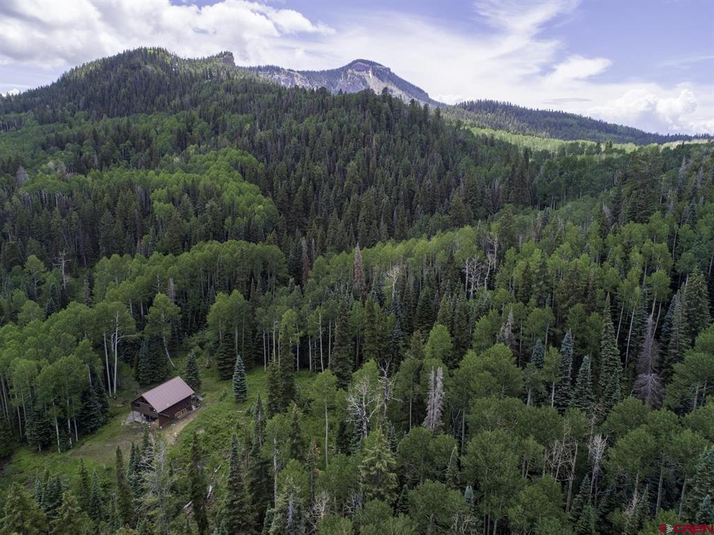 774098 Buckhorn Road Montrose CO 81403