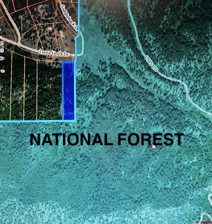 2535 Loma Linda Drive Pagosa Springs CO 81147