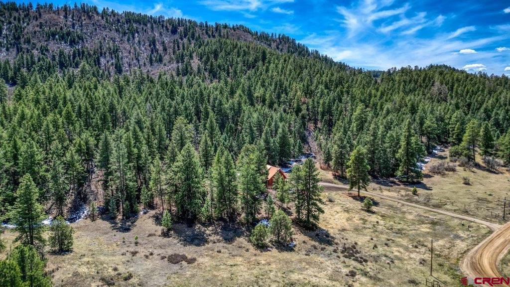 2535 Loma Linda Drive Pagosa Springs CO 81147