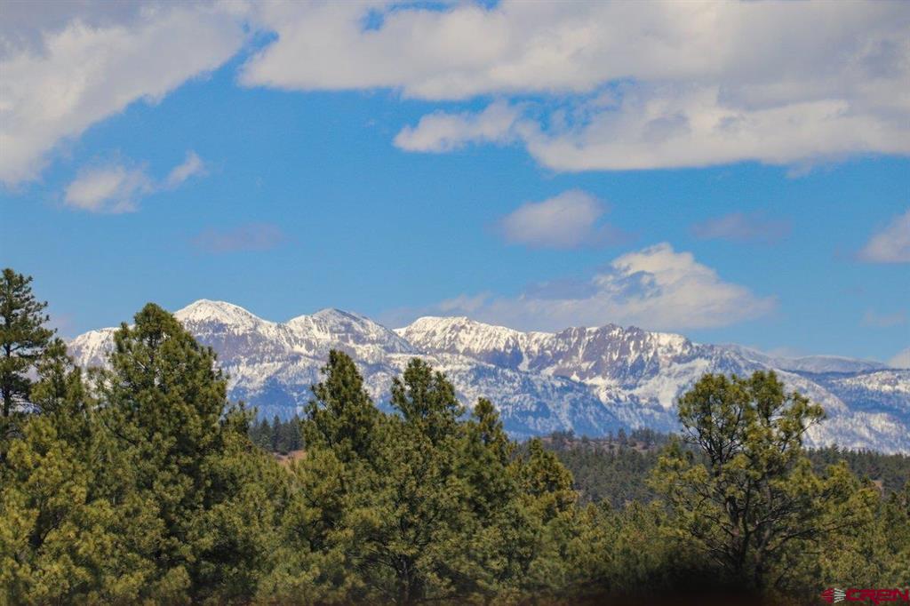 2535 Loma Linda Drive Pagosa Springs CO 81147