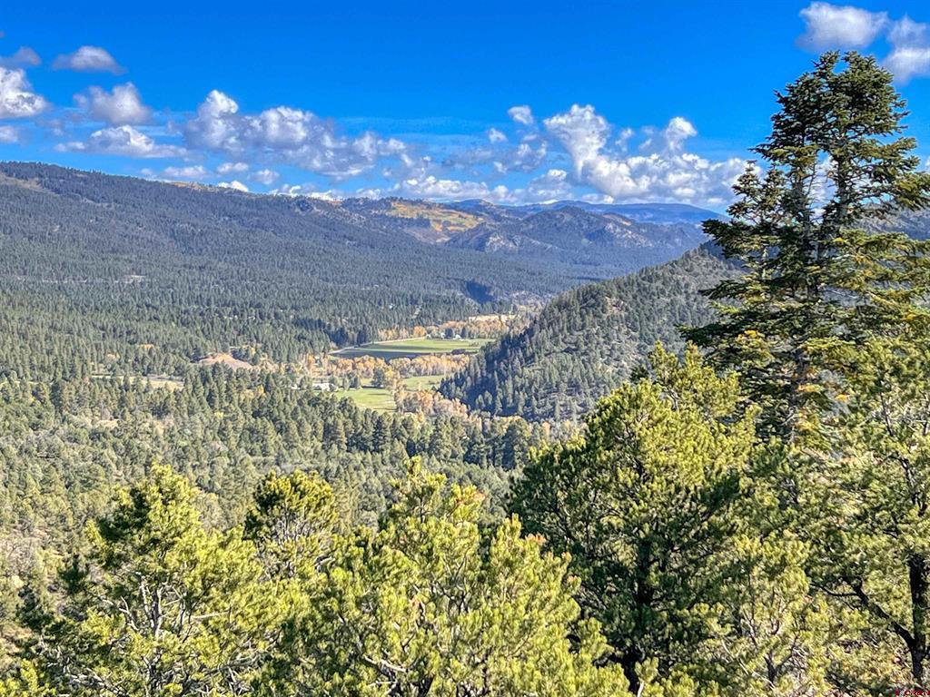 1050 Turkey Trot Lane Durango CO 81301