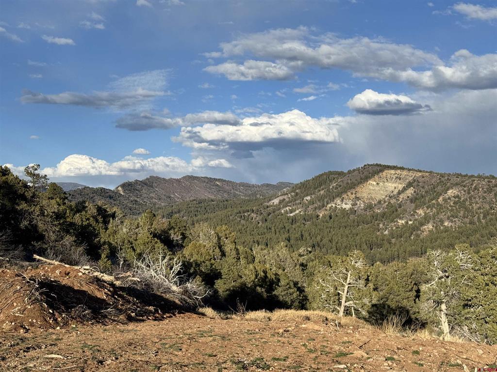1050 Turkey Trot Lane Durango CO 81301