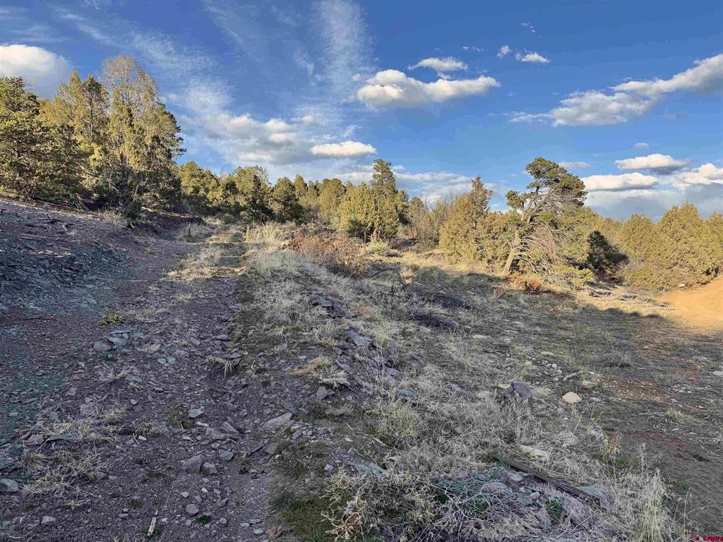 1050 Turkey Trot Lane Durango CO 81301