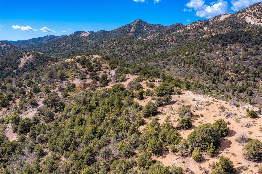 1050 Turkey Trot Lane Durango CO 81301