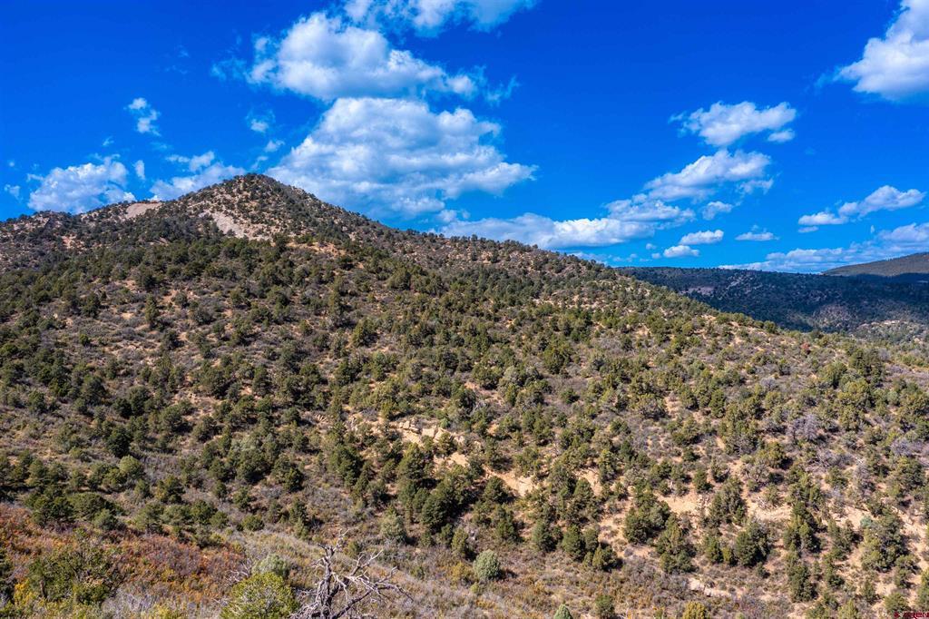 1050 Turkey Trot Lane Durango CO 81301