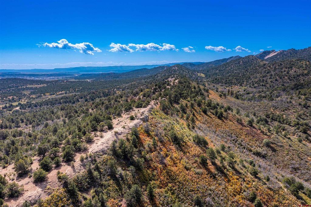 1050 Turkey Trot Lane Durango CO 81301