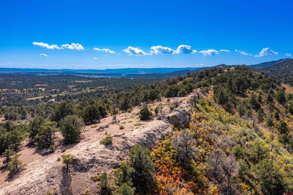 1050 Turkey Trot Lane Durango CO 81301