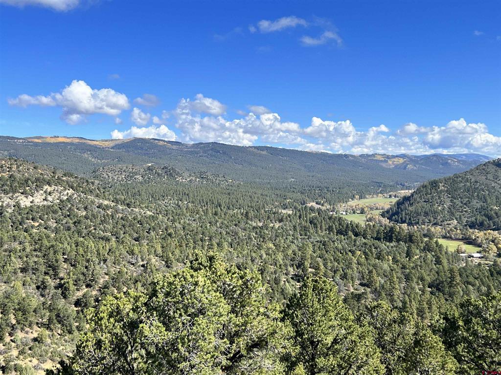 1050 Turkey Trot Lane Durango CO 81301