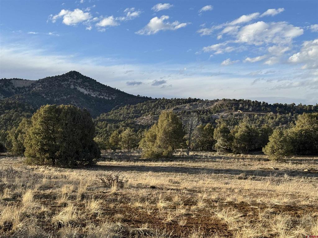 1050 Turkey Trot Lane Durango CO 81301