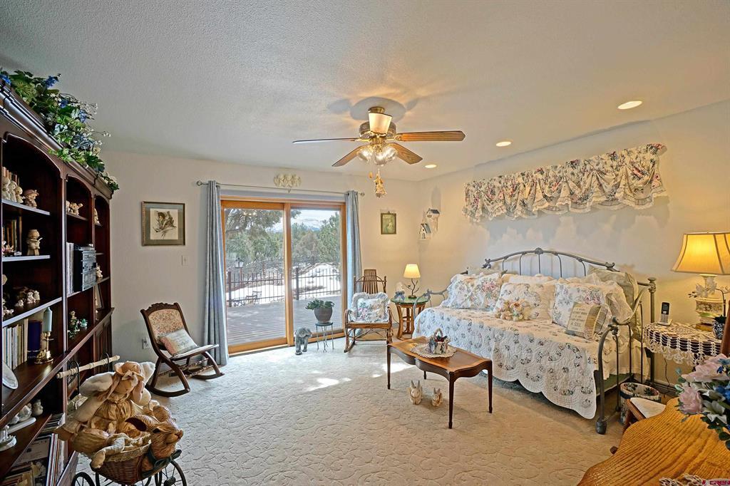 221 Waterview Lane Ridgway CO 81432
