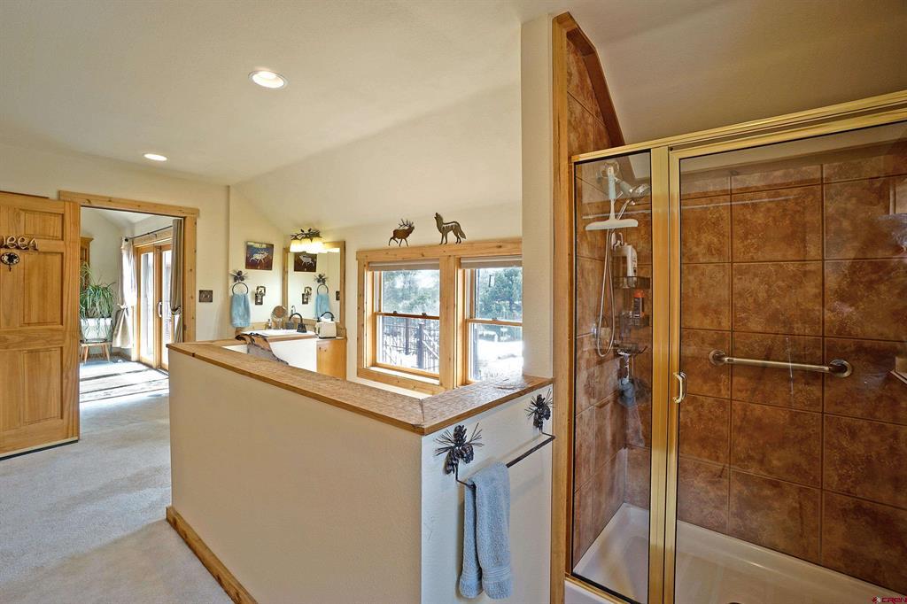221 Waterview Lane Ridgway CO 81432