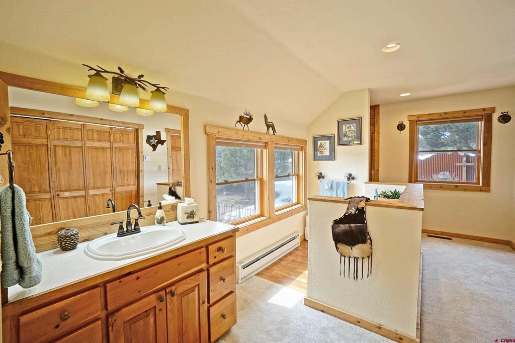 221 Waterview Lane Ridgway CO 81432