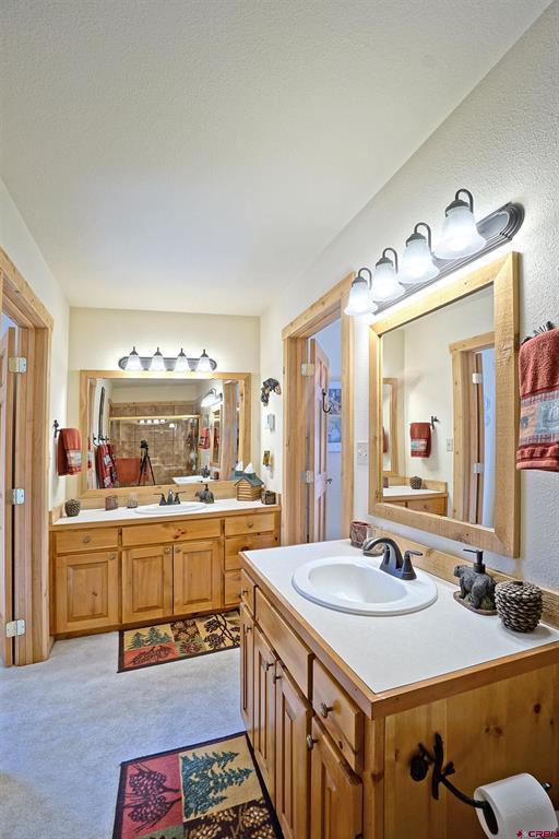 221 Waterview Lane Ridgway CO 81432