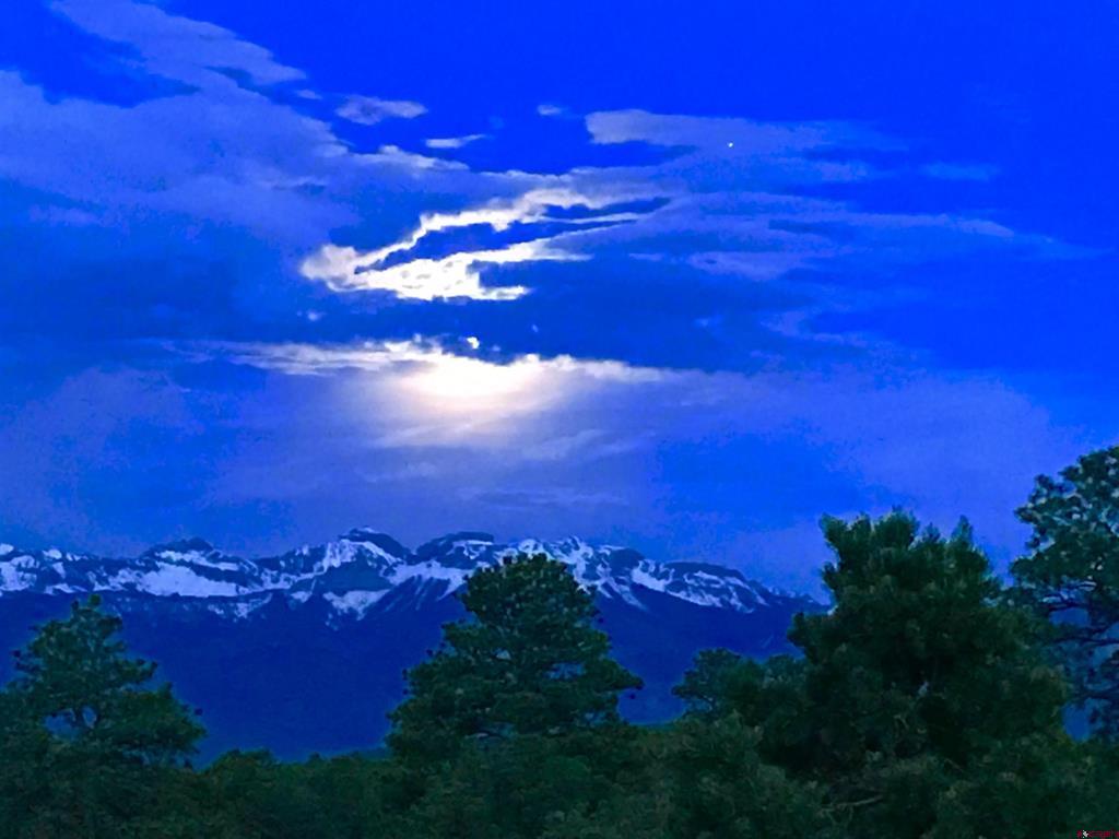 221 Waterview Lane Ridgway CO 81432